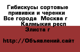 Гибискусы сортовые, прививки и черенки - Все города, Москва г.  »    . Калмыкия респ.,Элиста г.